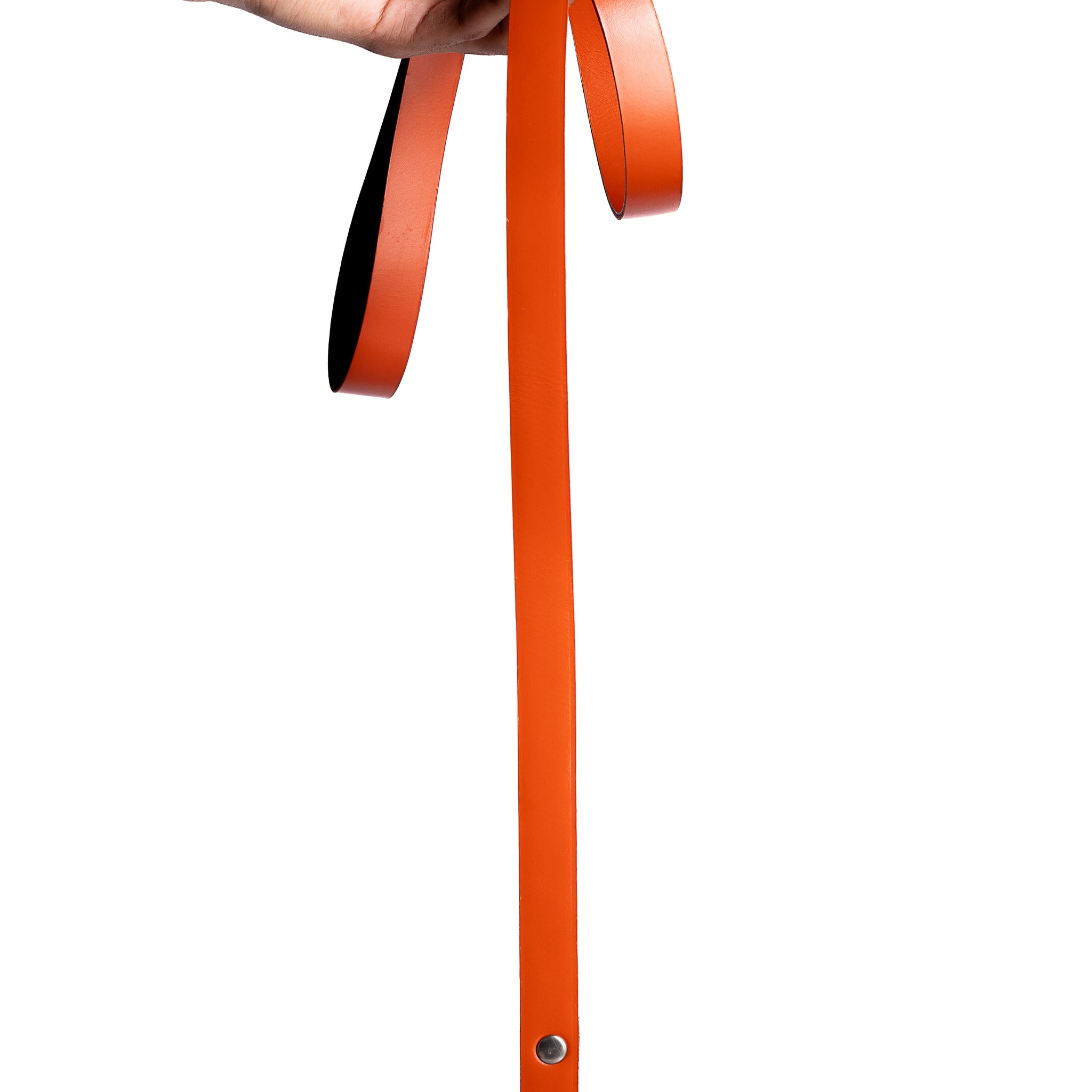 Orange PawFlex Leash