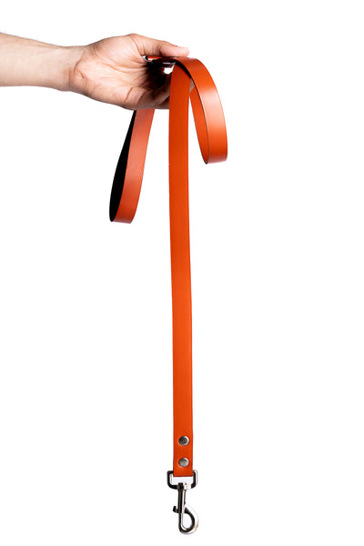 Orange PawFlex PAWPAW Dog Leash