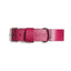 Pink PAWPAW Dog Leather Collar