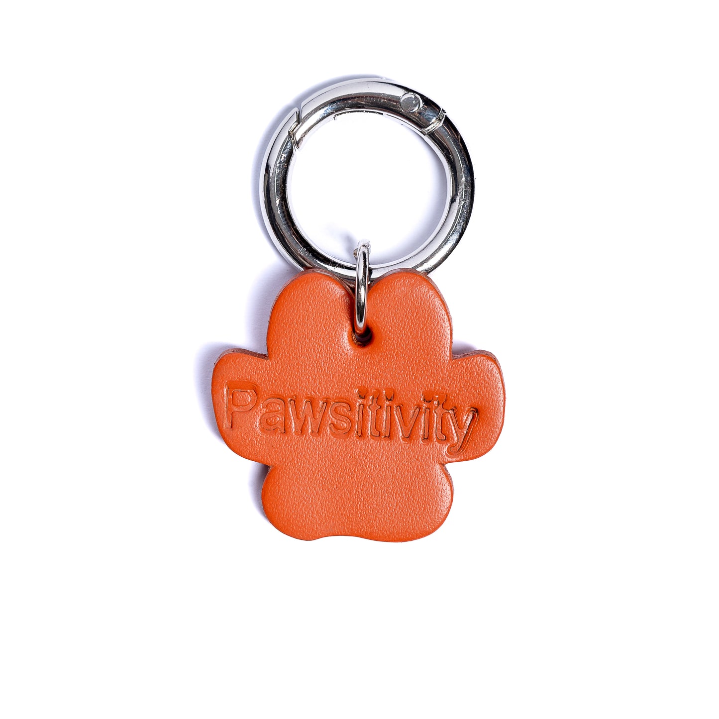“Pawsitivity” PَAWPAW Dog Collar Charm