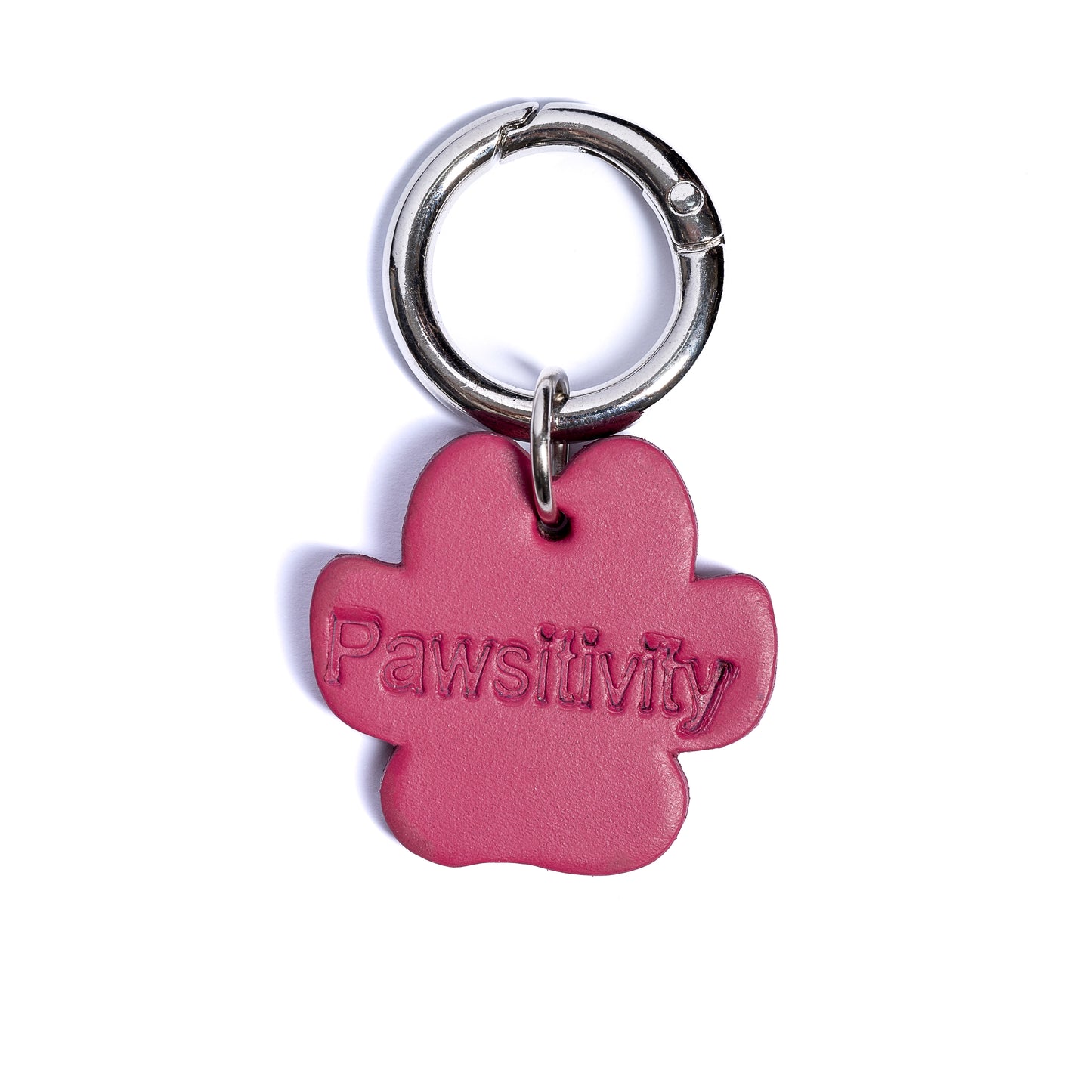 “Pawsitivity” PَAWPAW Dog Collar Charm