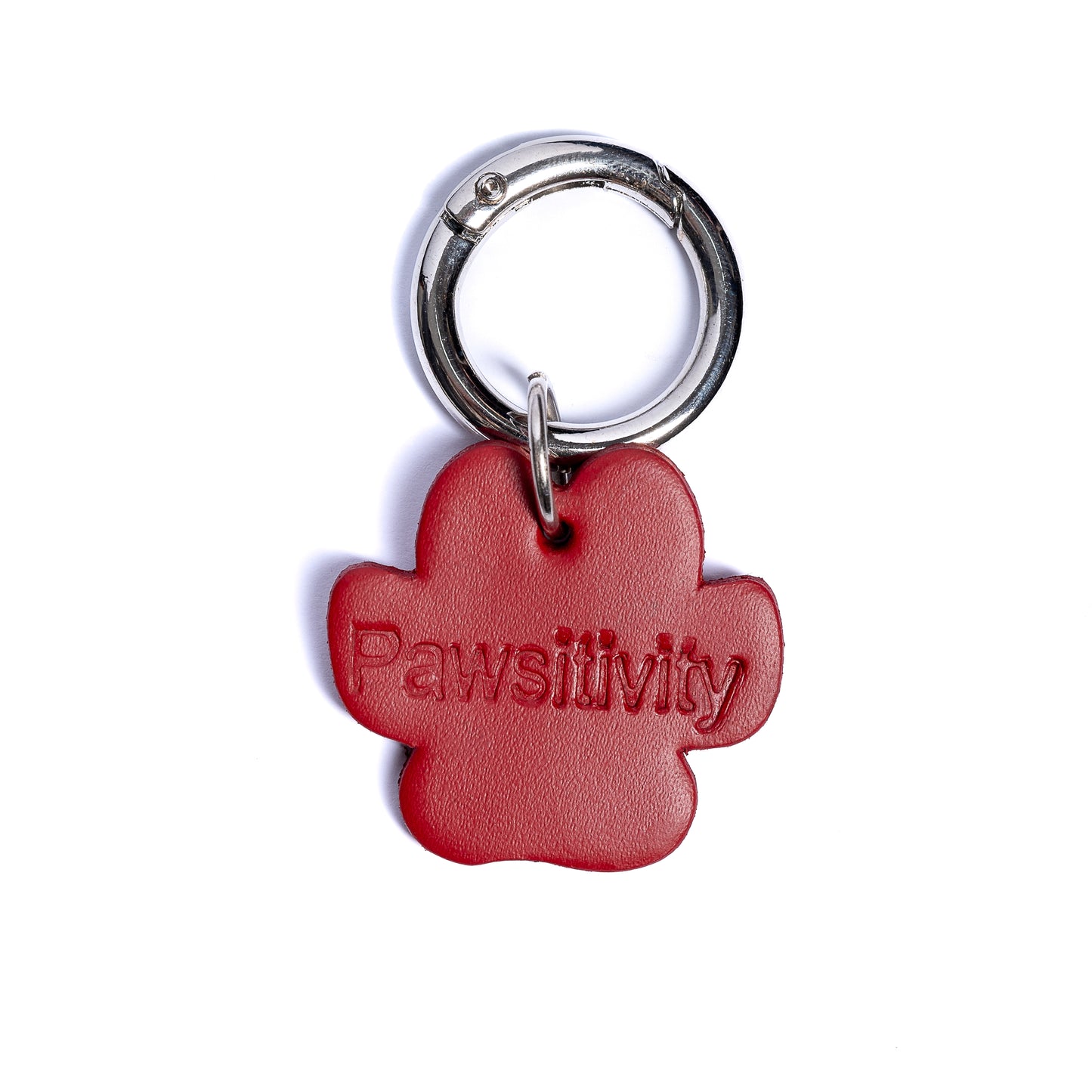 “Pawsitivity” PَAWPAW Dog Collar Charm