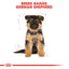 German Shepherd 3Kg Royal Canin Puppy Food
