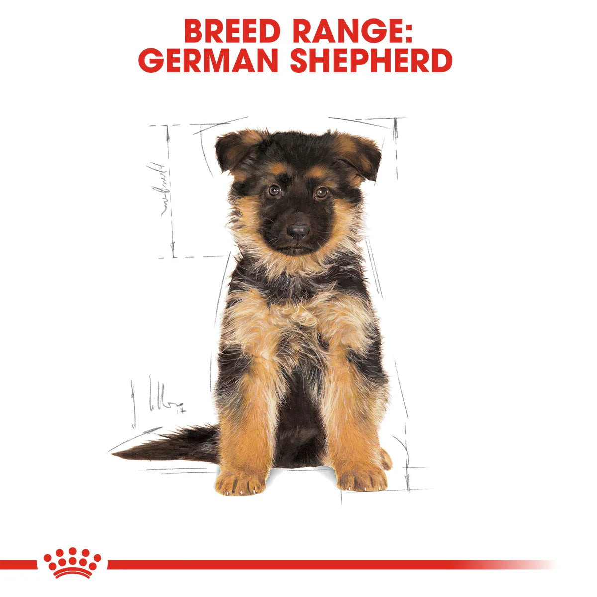 German Shepherd 3Kg Royal Canin Puppy Food