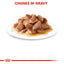 Hair & Skin Chicken Gravy 85g Royal Canin All Breeds Adult Cat Food