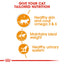 Hair & Skin Chicken Gravy 85g Royal Canin All Breeds Adult Cat Food