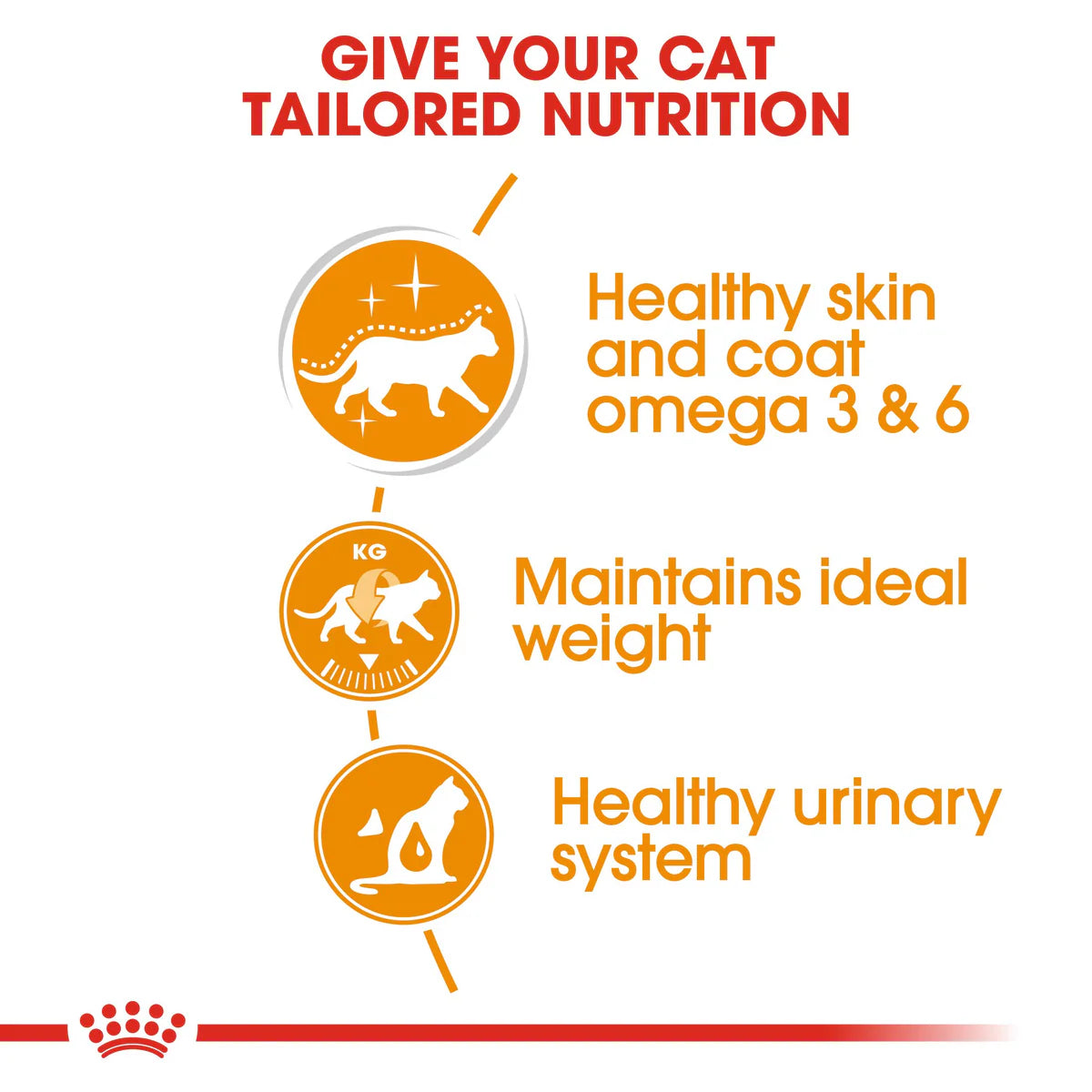 Hair & Skin Chicken Gravy 85g Royal Canin All Breeds Adult Cat Food