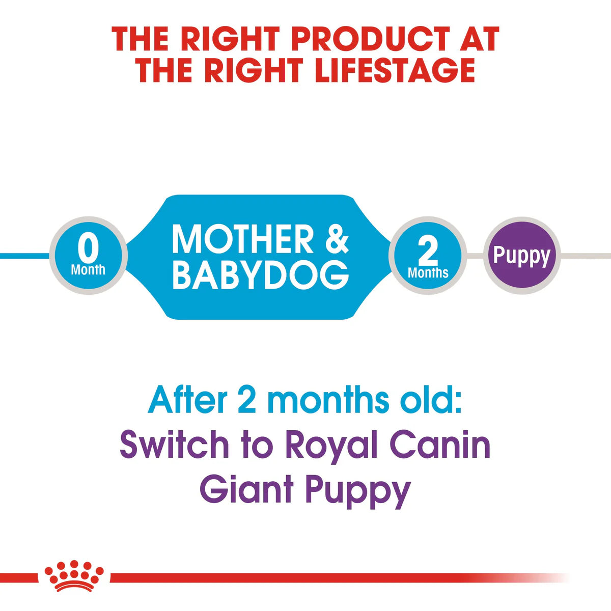 Giant Starter Royal Canin Mother & Babydog Food