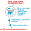 Giant Starter Royal Canin Mother & Babydog Food