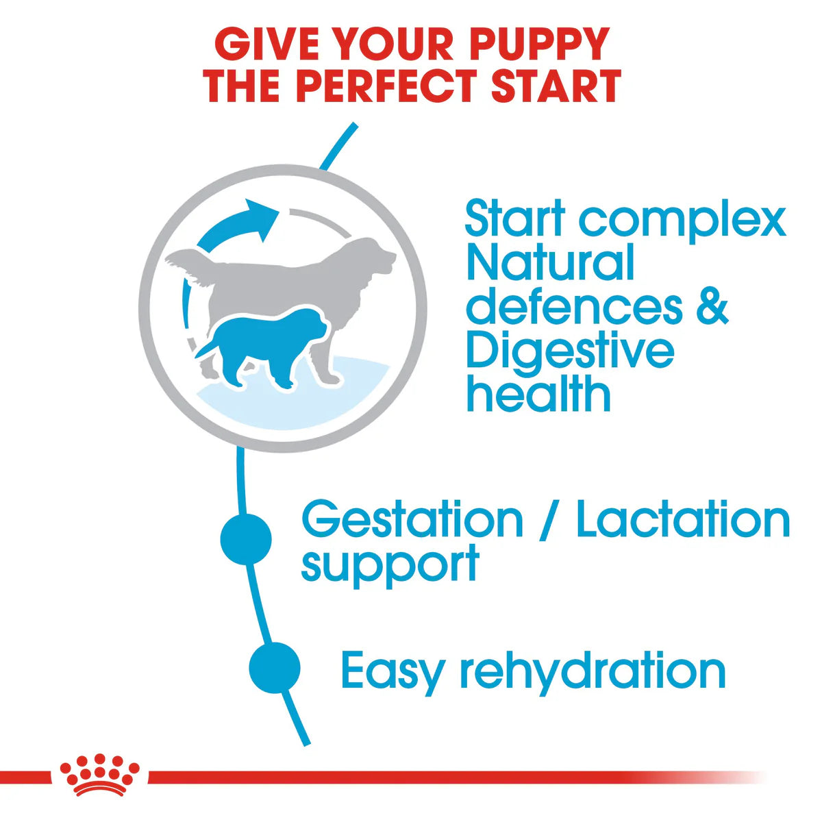 Giant Starter Royal Canin Mother & Babydog Food