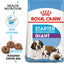 Giant Starter Royal Canin Mother & Babydog Food