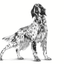 Renal Royal Canin All Breeds Adult Dog Food