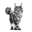 Renal Royal Canin All Breeds Adult Cat Food