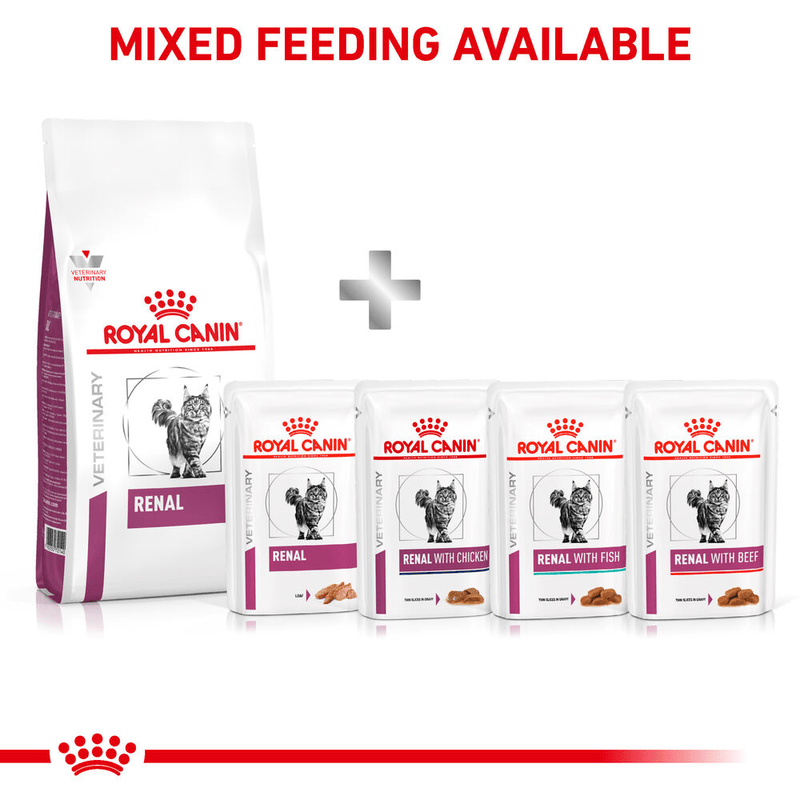 Renal Royal Canin All Breeds Adult Cat Food