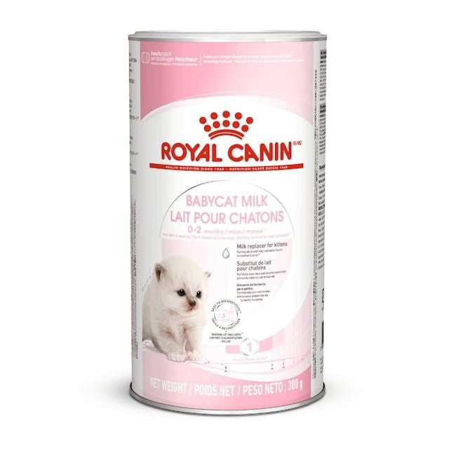 BABY CAT MILK