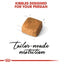 Persian Kitten Royal Canin Cat Food