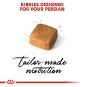 Persian Kitten Royal Canin Cat Food