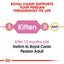 Persian Kitten Royal Canin Cat Food