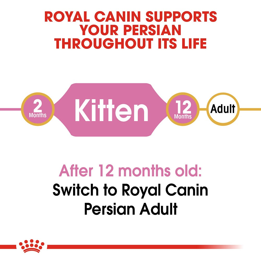 Persian Kitten Royal Canin Cat Food