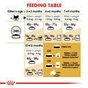 Persian Kitten Royal Canin Cat Food