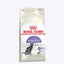 Sterilised 37 Royal Canin All Breeds Adult Cat Food