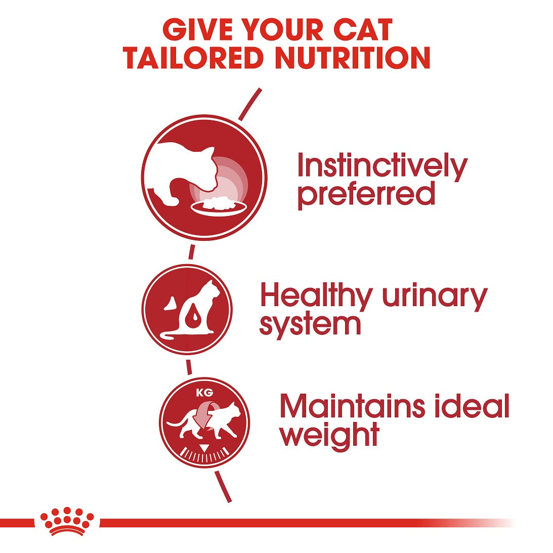 Instinctive Wet Loaf 85g Royal Canin All Breeds Adult Cat Food
