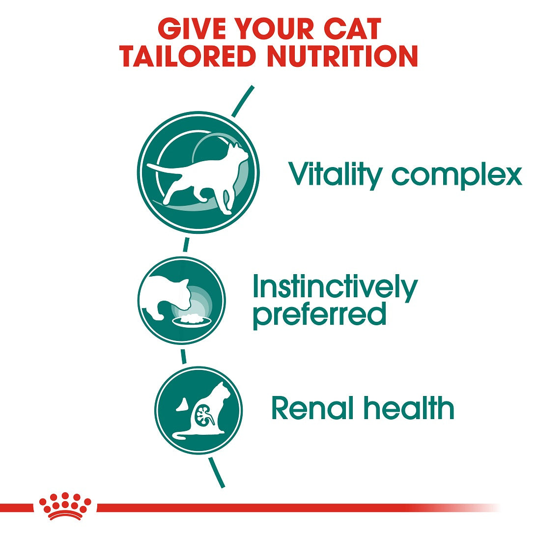 Instinctive 7+ Chunks Gravy 85g Royal Canin All Breeds Adult Cat Food