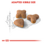 Sensible Royal Canin All Breeds Adult Cat Food