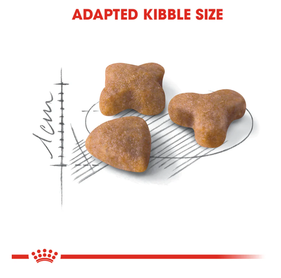 Sensible Royal Canin All Breeds Adult Cat Food