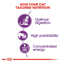 Sensible Royal Canin All Breeds Adult Cat Food