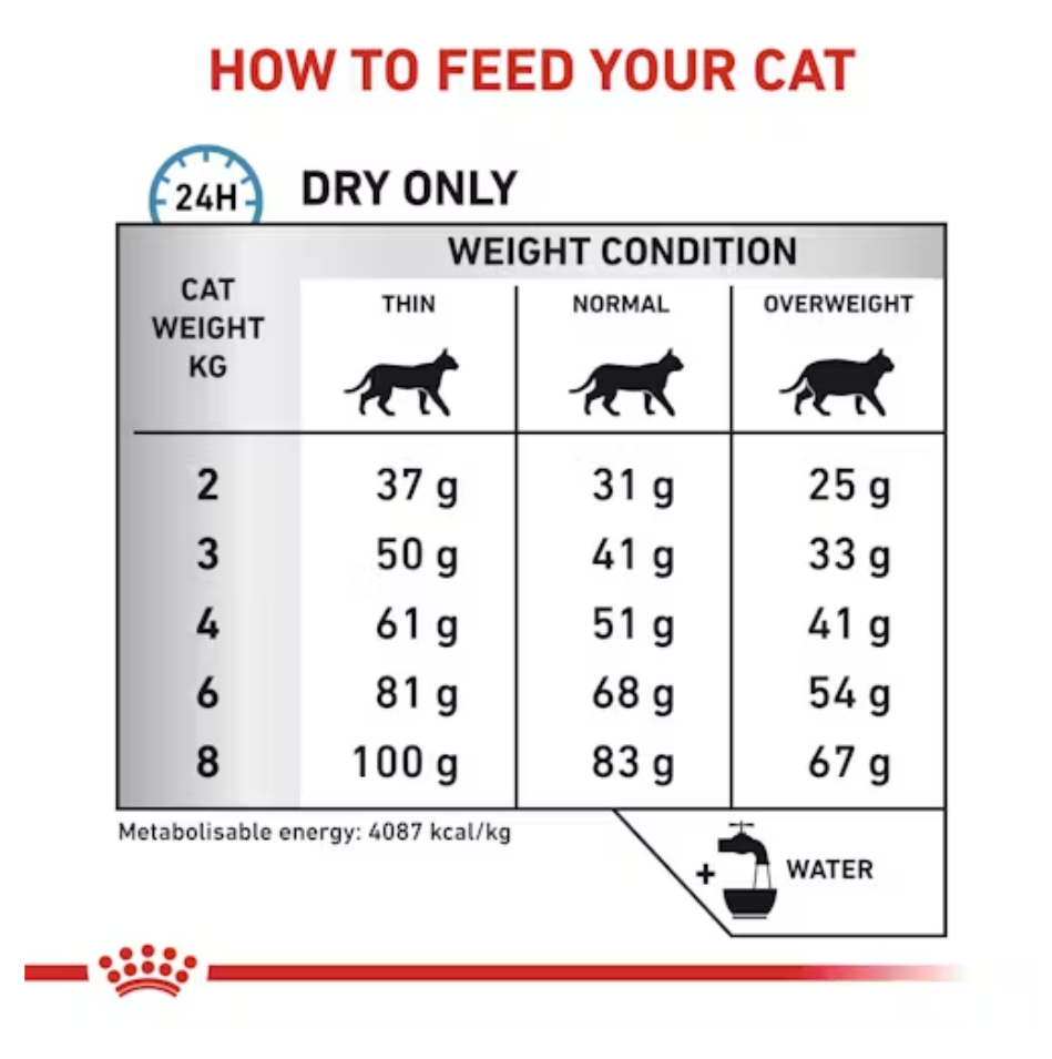 Hypoallergenic Royal Canin All Breeds Adult Cat Food