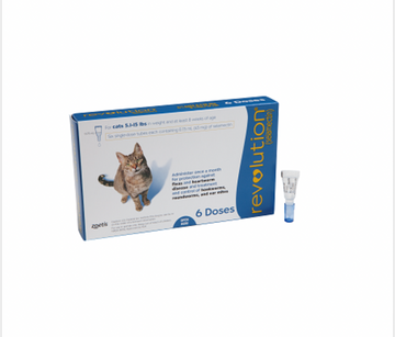 Revolution Cats - 1 Ampoule