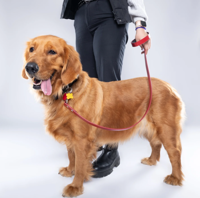 Red PawFlex PAWPAW Dog Leash