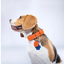 Orange PAWPAW Dog Leather Collar