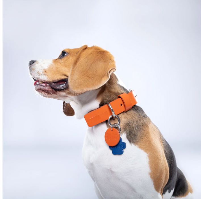 Orange Leather Collar