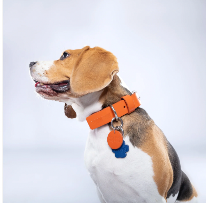 Orange PAWPAW Dog Leather Collar