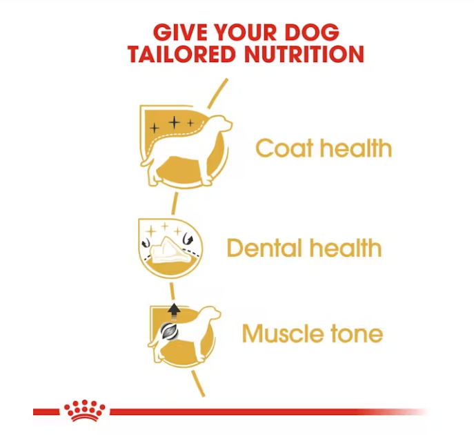 Poodle Royal Canin Adult Dog Food