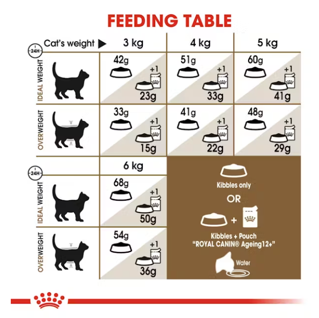 Senior Ageing 12+ Royal Canine All Breeds Senior Cat Food