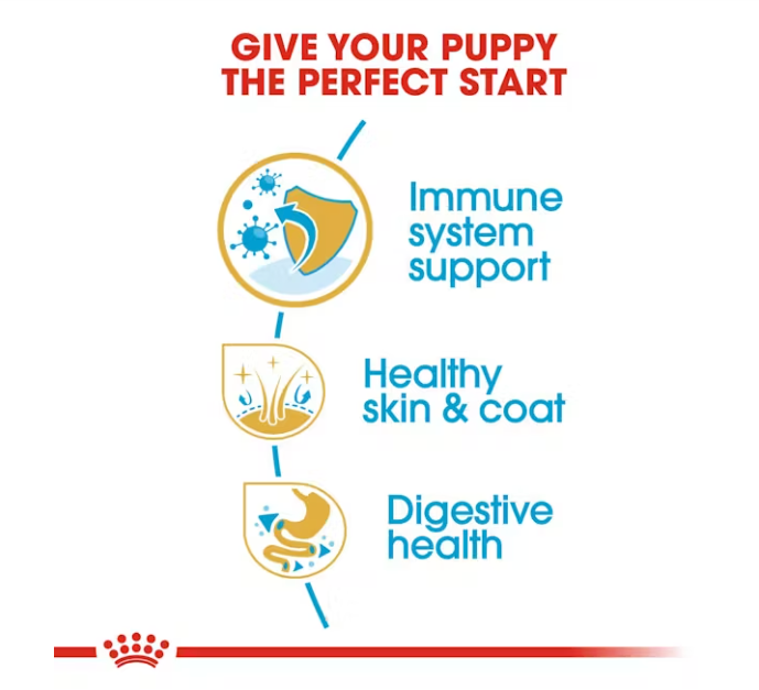 Shih Tzu Royal Canin Puppy Food