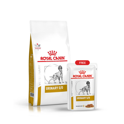 Urinary S/O Adult Dog Food Bundle (Dry 2kg + Wet 100g FREE)
