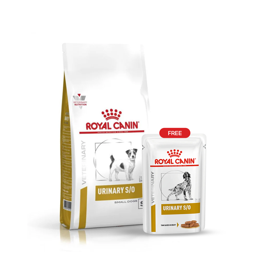 Urinary S/O Adult Dog Food Bundle (Dry 1.5kg + Wet 100g FREE)