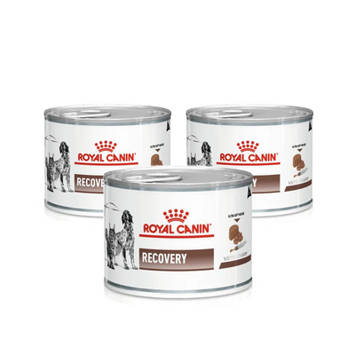 Recovery Adult Dog & Cat Food Bundle (3 Packs)
