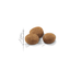 Sterilised 7+ Royal Canin All Breeds Mature Cat Food
