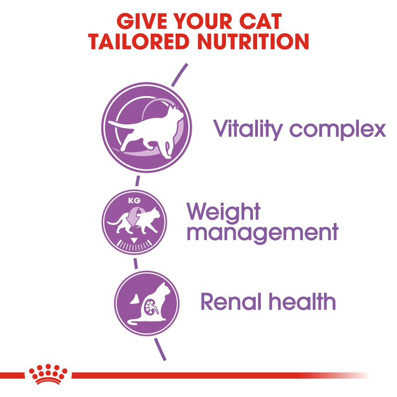 Sterilised 7+ Royal Canin All Breeds Mature Cat Food