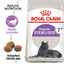 Sterilised 7+ Royal Canin All Breeds Mature Cat Food