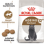 Sterilised Ageing 12+ Royal Canin All Breeds Senior Cat Food