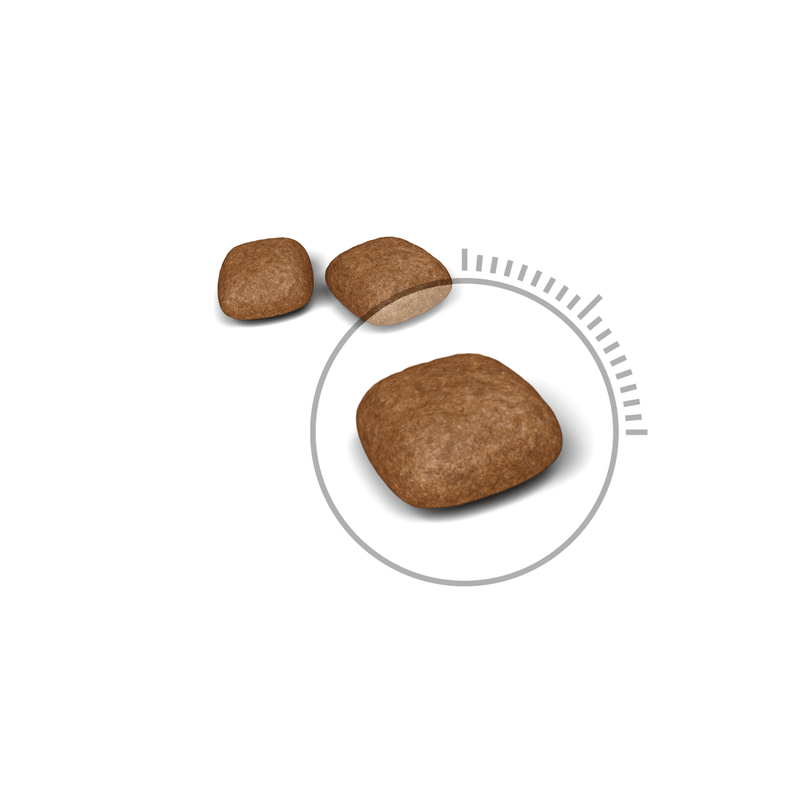 Urinary Care Royal Canin All Breeds Adult Cat Food