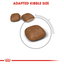 Urinary Care Royal Canin All Breeds Adult Cat Food