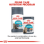 Urinary Care Royal Canin All Breeds Adult Cat Food
