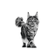 Urinary S/O Royal Canin All Breeds Adult Cat Food